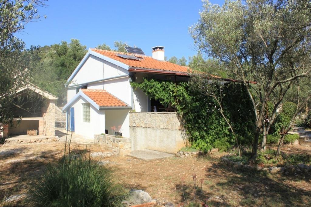Secluded fisherman's cottage Cove Magrovica - Telascica, Dugi otok - 8142 Sali Esterno foto