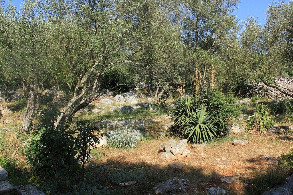 Secluded fisherman's cottage Cove Magrovica - Telascica, Dugi otok - 8142 Sali Esterno foto
